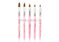 Professionele Populaire Roze die de Kunstborstels van de Spijkerverf met Hoogte worden geplaatst - het Haar van kwaliteitskolinsky