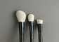 Borstels van de veganist de Synthetische Make-up Geplaatst Privé Etiket 8PCS Zwarte Kosmetische Borsteluitrusting