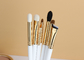 Van de Make-upborstels van de Vonira de Artisanale Studio 16pcs Houten Handvatten van Kit With Gold Copper Ferrule
